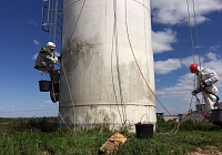 Трубы Мираторг