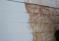 Комбикормовый завод Мираторг