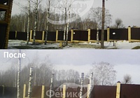 Спил деревьев