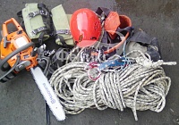 Спил деревьев